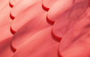 Porttannachy plastic roof costs