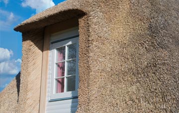 Porttannachy thatch roof disadvantages