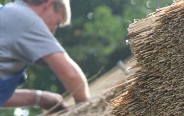 professional Porttannachy thatchers