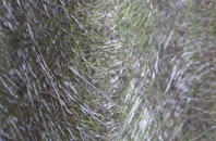 Porttannachy fibreglass roof work